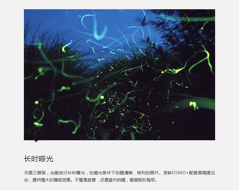 灵眸6.jpg